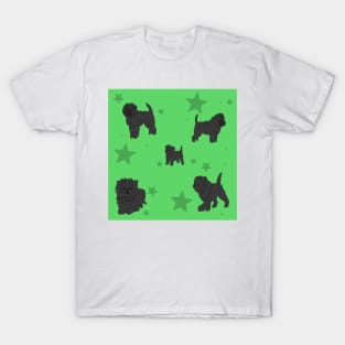 Affenpinscher Pattern Green T-Shirt